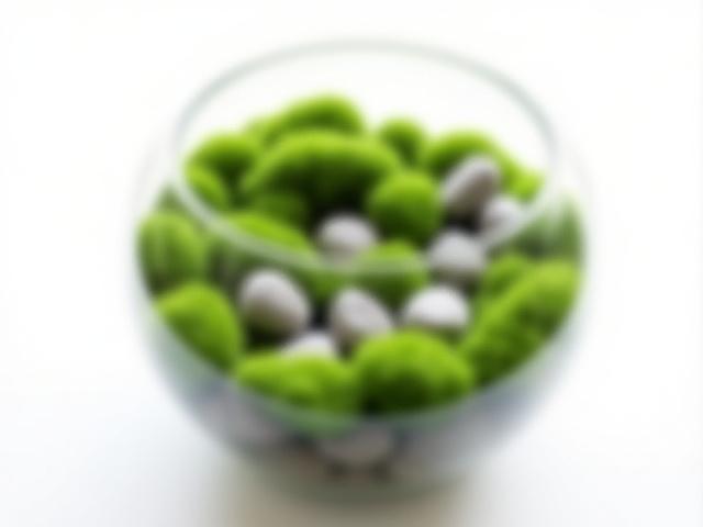 Lush moss terrarium in a wide glass bowl with delicate stones arranged around Mood Moss.